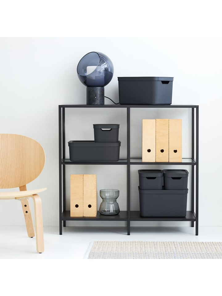 Rotho 3er Set Aufbewahrungsbox mit Deckel 10L JIVE in Holzkohle schwarz ged. günstig kaufen onesize