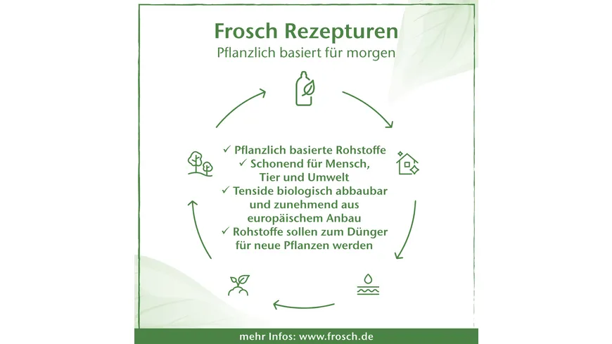 Frosch Himbeer Essig Anti-Kalk 500 ml