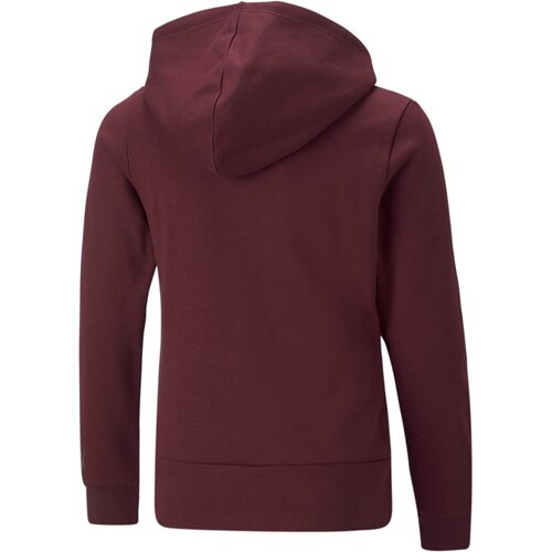 KINDER KAPUZENSWEAT ALPHA HOODIE FL G