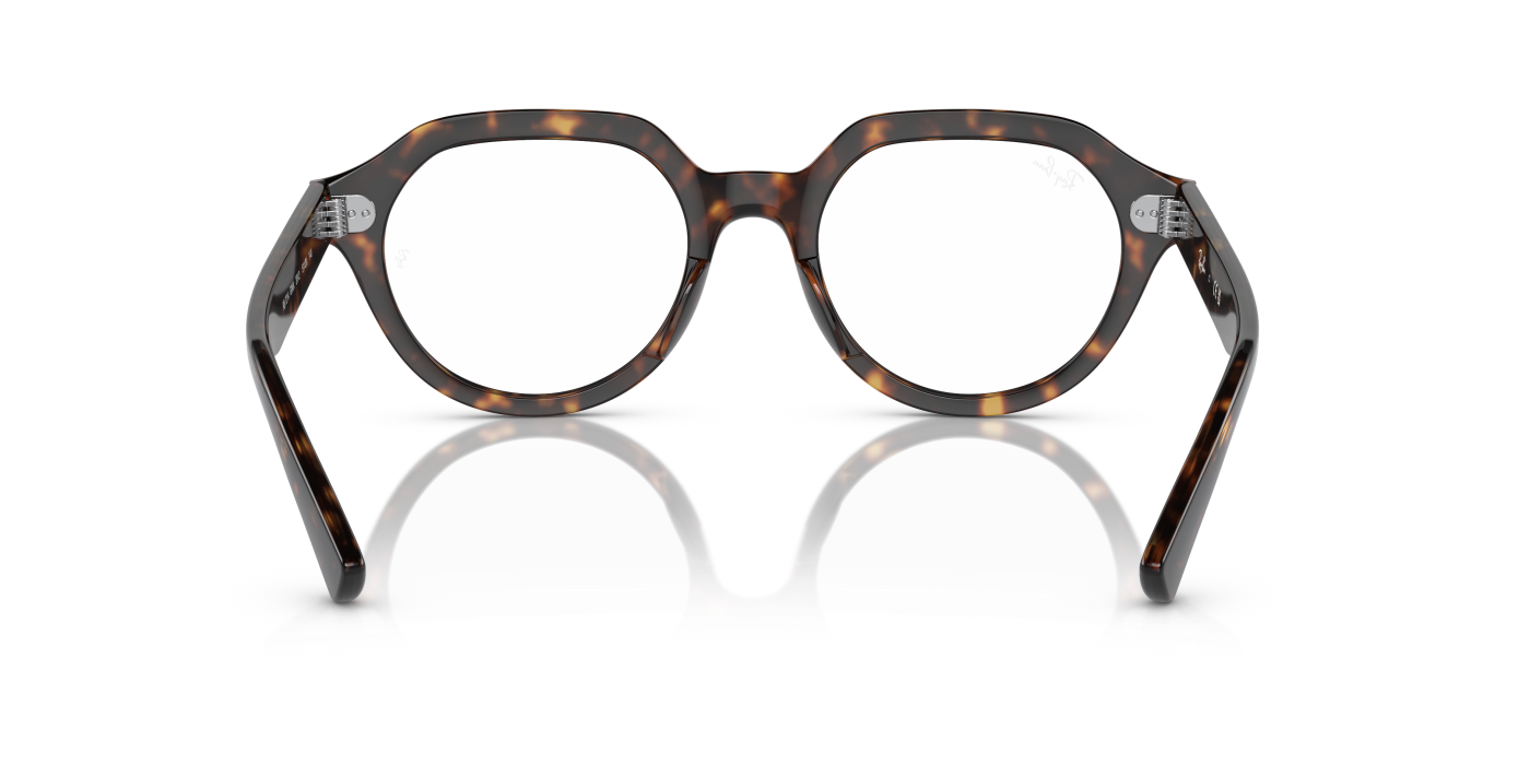 GINA OPTICS - Havana Gloss
