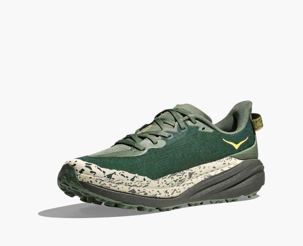 Speedgoat 6 Fern / Asphalt Grey
