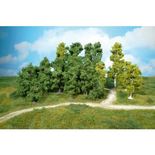 Super Artline Laubwald 5-12 cm (20 Stk.)
