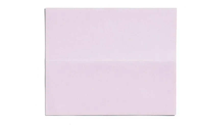SHISEIDO Oil Control Blotting Paper 100 Stück