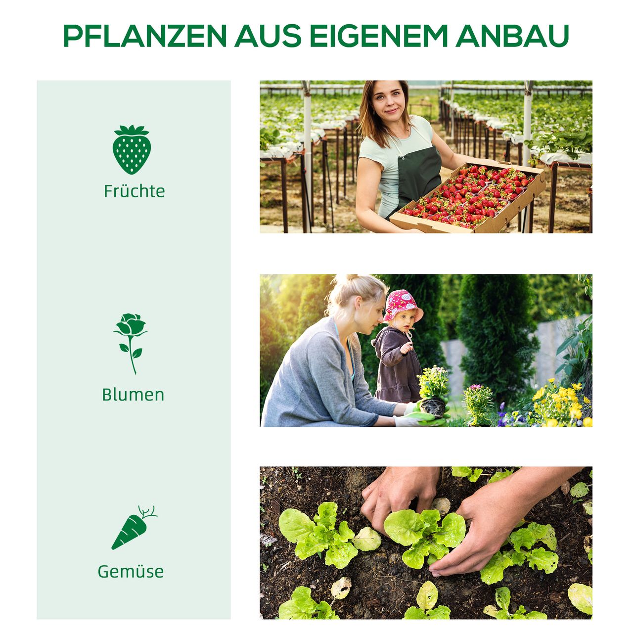 Outsunny Foliengewächshaus mit Fenster Treibhaus Tomatenhaus Frühbeet Grün