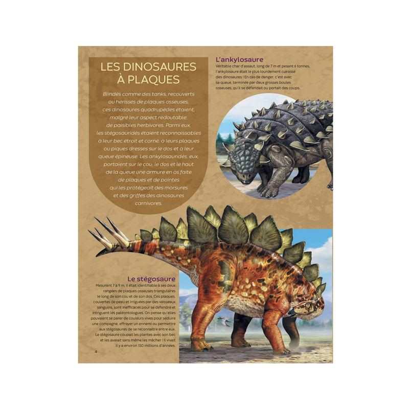 Livre Les Dinosaures - Fleurus
