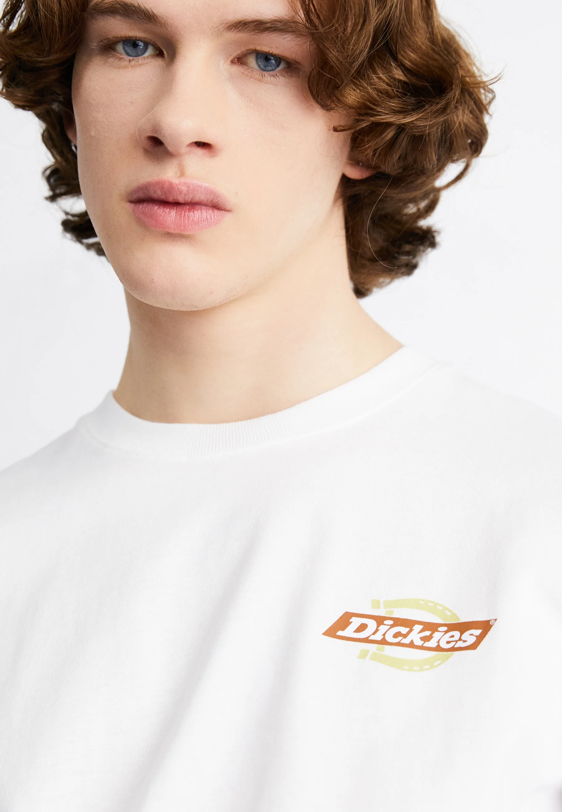 Dickies RUSTON TEE - Camiseta con estampado