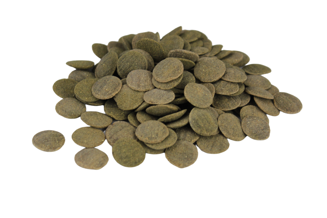Silbermann Hauptfutter Silbermann Algae Catfish Wafers