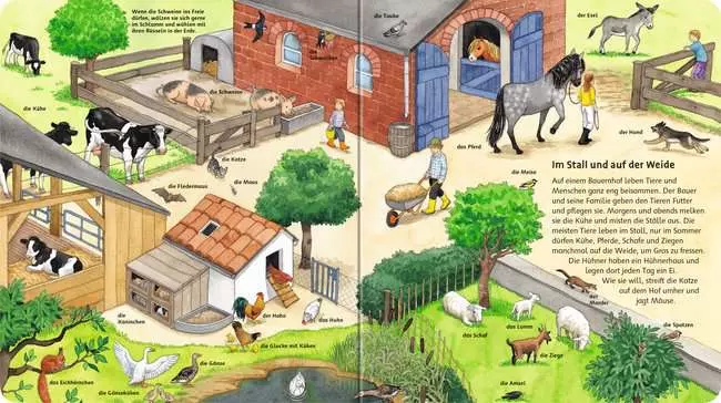Mein großes Bilderlexikon: Unsere Tiere