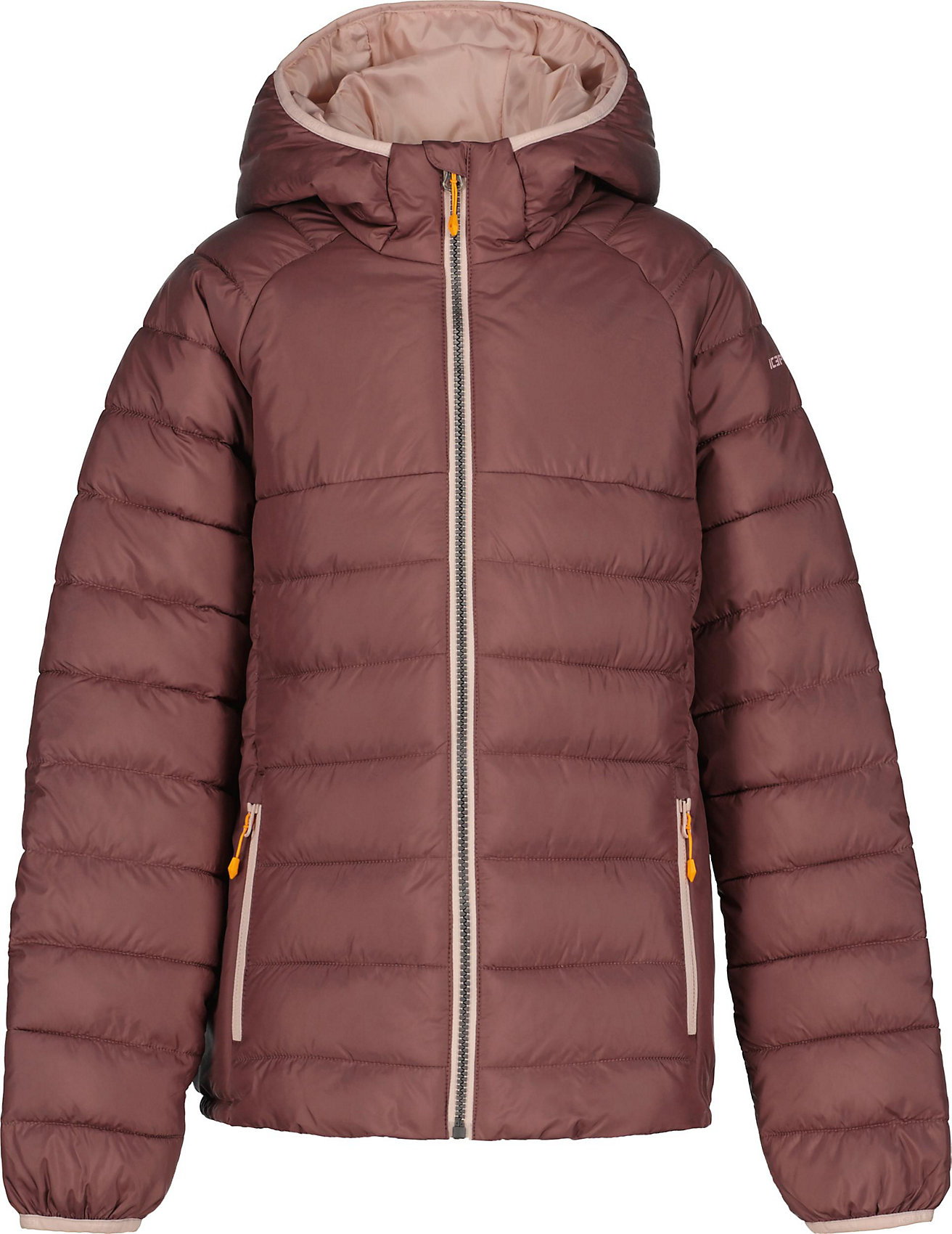 Winter Jacket