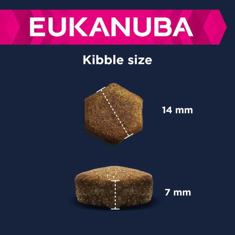 Eukanuba Senior Small & Medium Breed Lamm & Reis