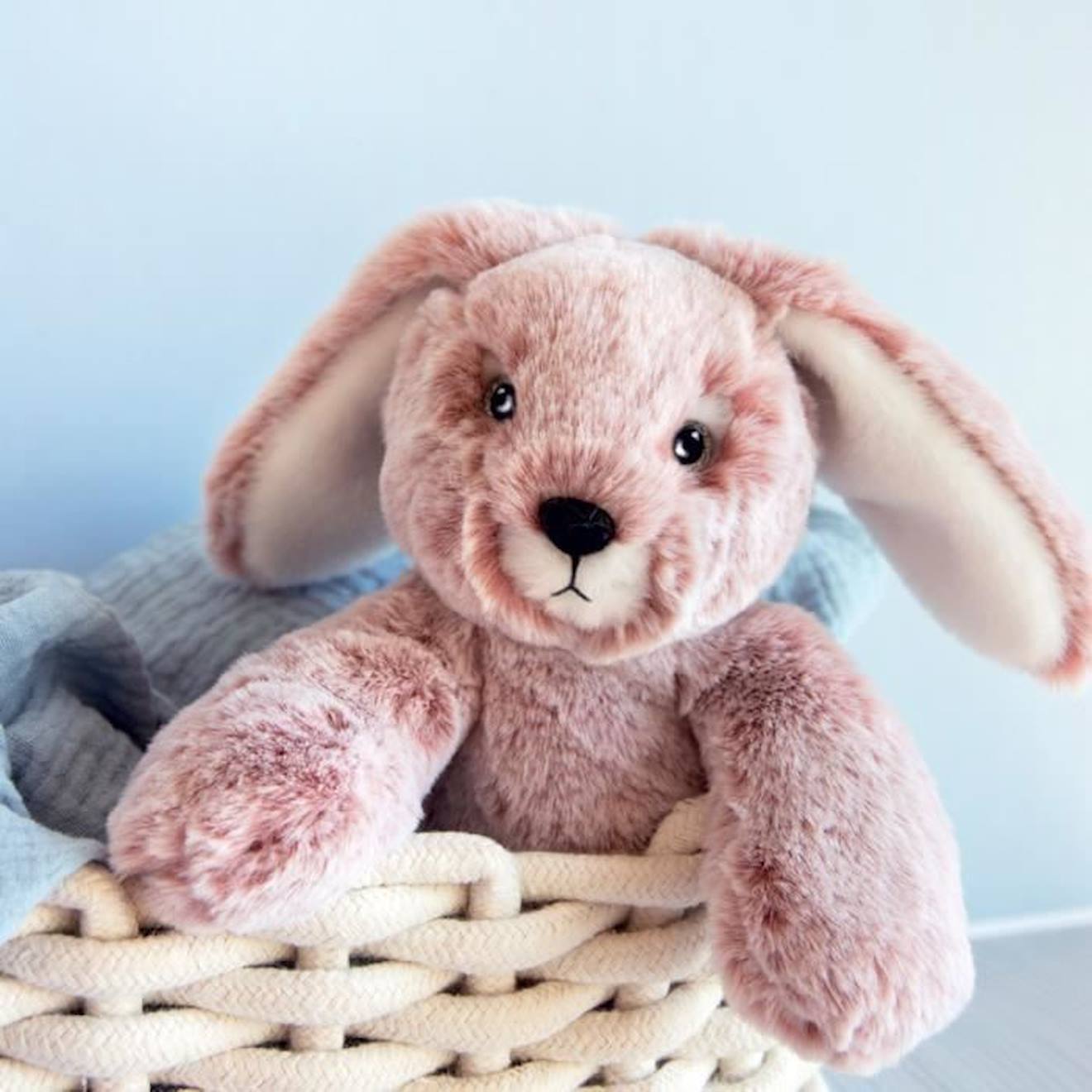 Histoire d'Ours
