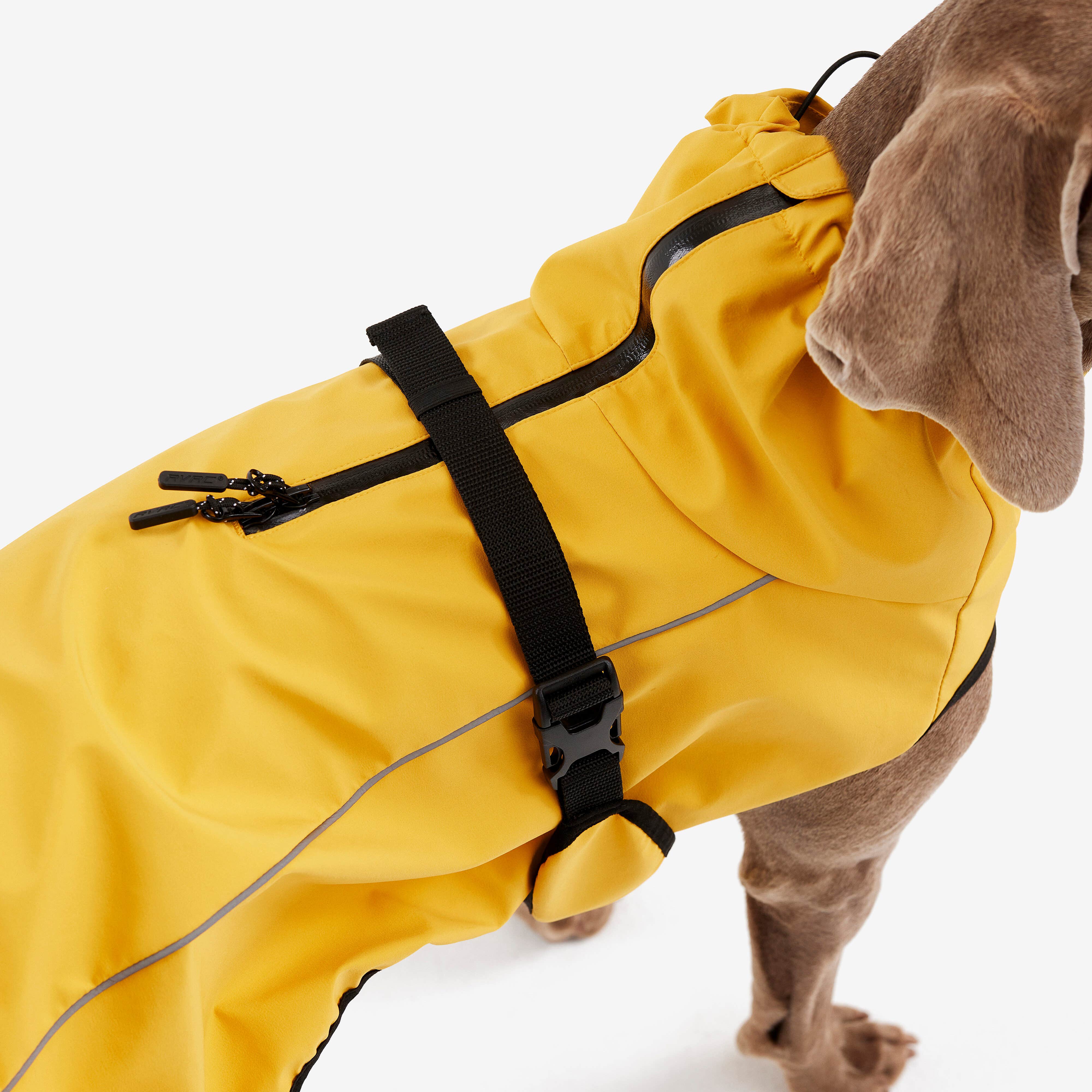 Cyclone Dog Jacket Chien Yellow