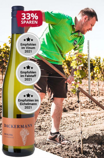 2022 Riesling vom Kalkstein trocken - Weingut Dackermann