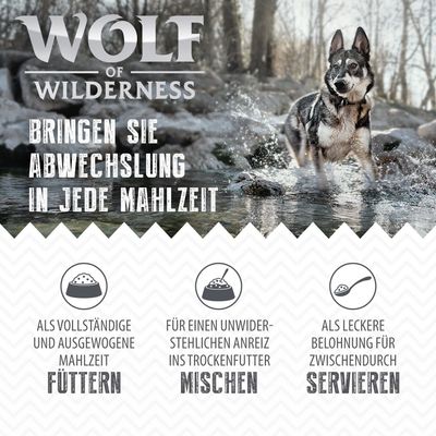 Wolf of Wilderness Adult 6 x 300 g - Pouch