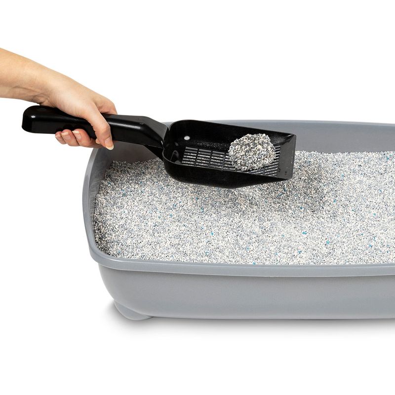 Ever Clean Spring Garden Klumpstreu zu TOP-Preisen