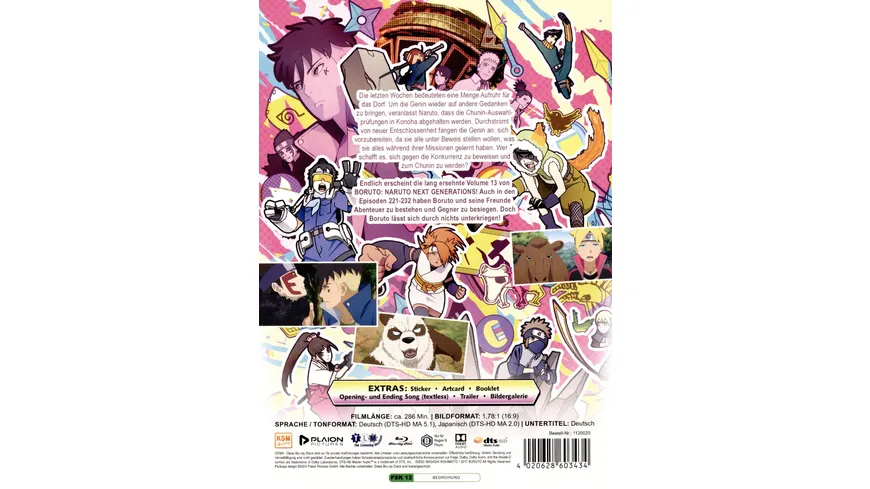 Boruto: Naruto Next Generations - Volume 13 (Ep. 221-232)  [3 BRs]