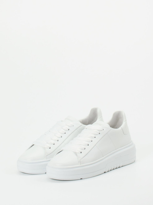 Sneaker-16637990256 Kennel & Schmenger