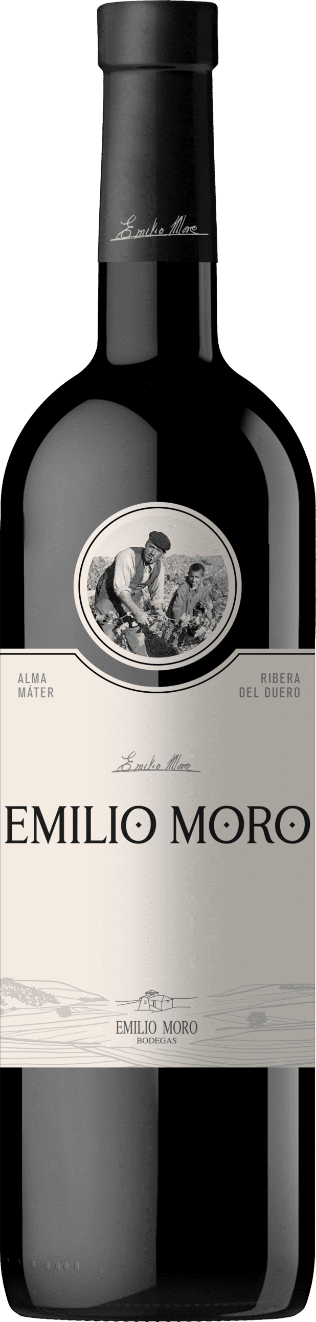 Bodegas Emilio Moro: Emilio Moro Tempranillo 2021