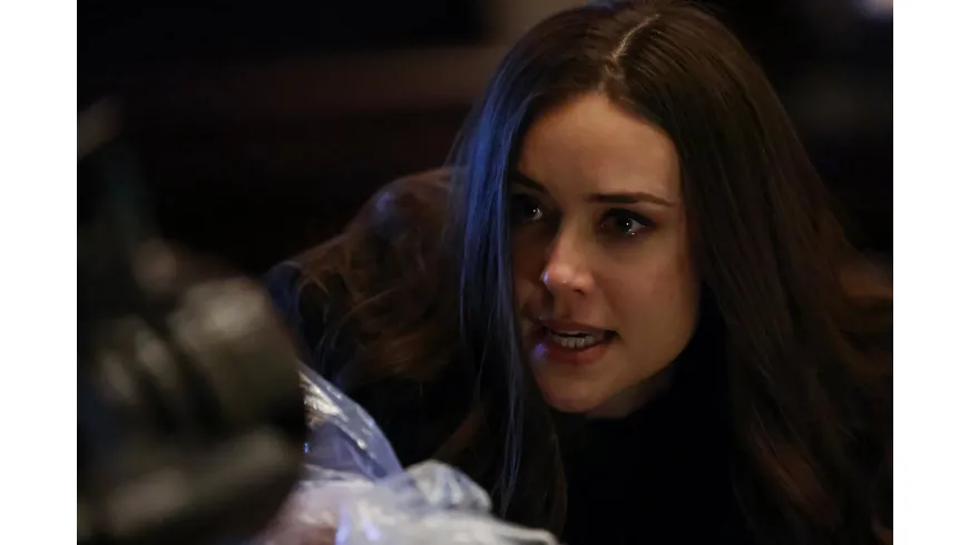 The Blacklist - Die komplette achte Season  [6 DVDs]