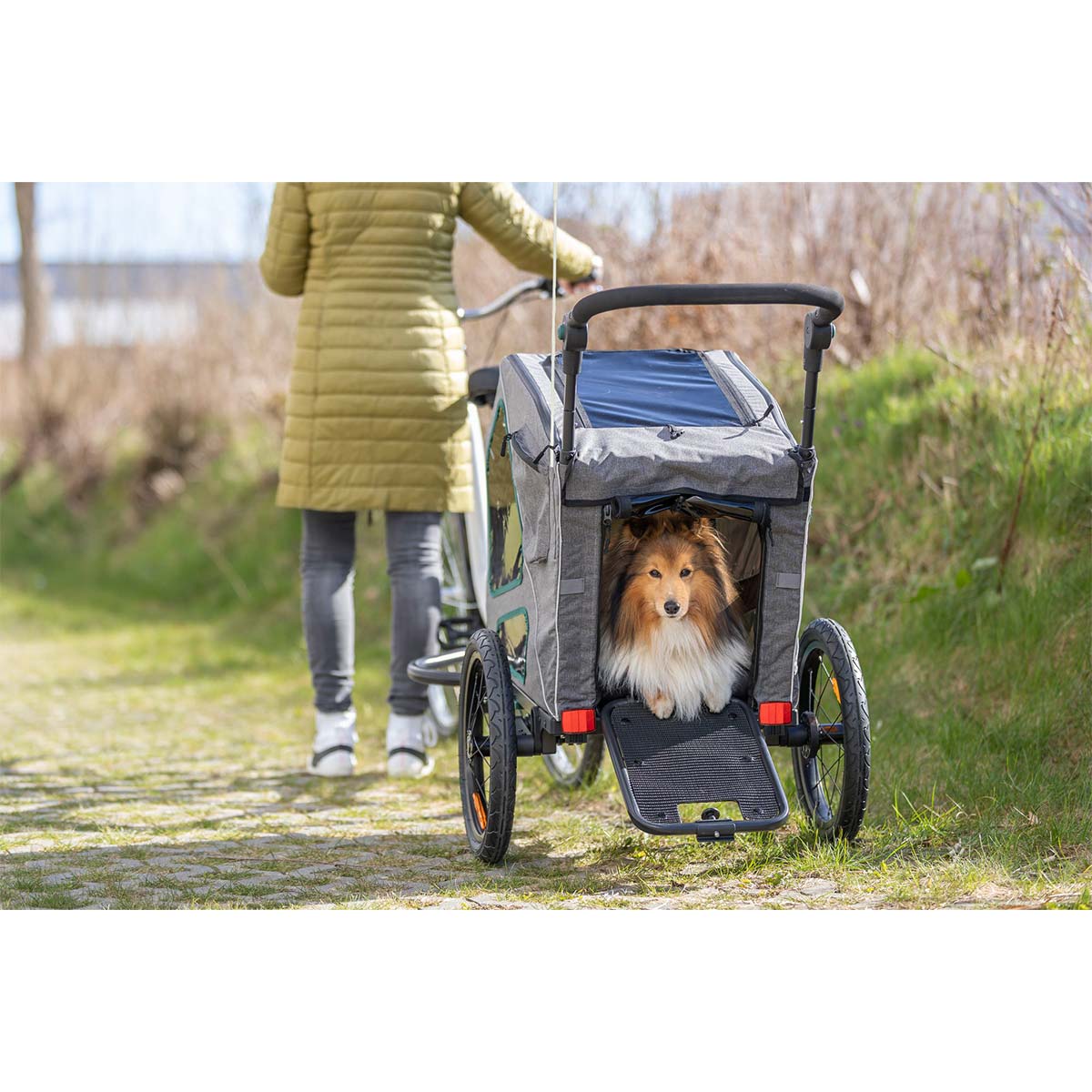 Trixie Fahrrad-Anhänger Grau/Salbei günstig kaufen bei ZooRoyal