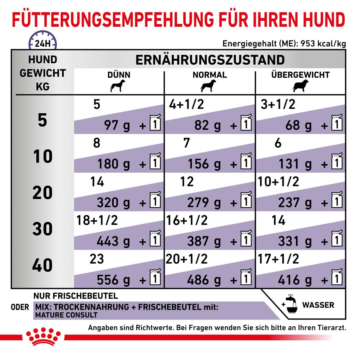 ROYAL CANIN Expert MATURE CONSULT Nassfutter für Hunde