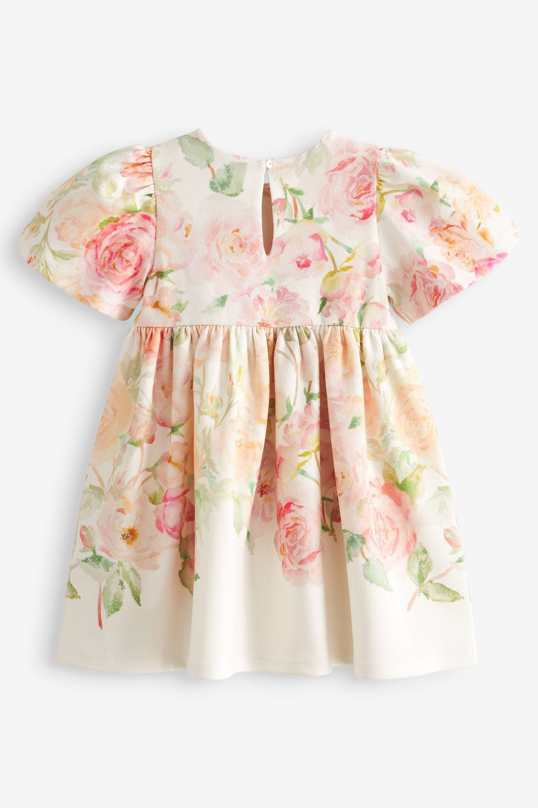 Next Jerseykleid Kleid mit bedruckten Rändern für besondere Anlässe (1-tlg)