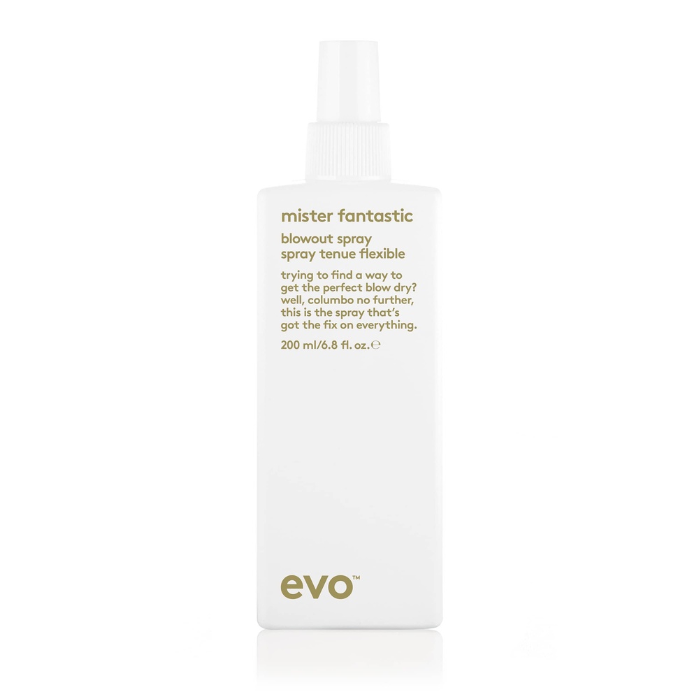 evo mister fantastic spray brushing 200ml Spray