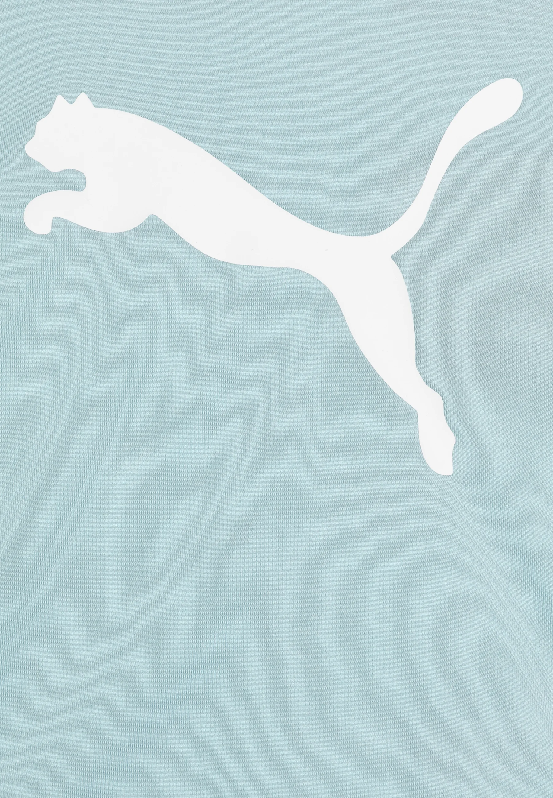 Camiseta deportiva Puma Active Tee Unisex