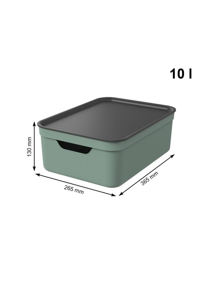 Rotho 3er Set Aufbewahrungsbox mit Deckel 10L JIVE in Reseda green ged. günstig kaufen onesize
