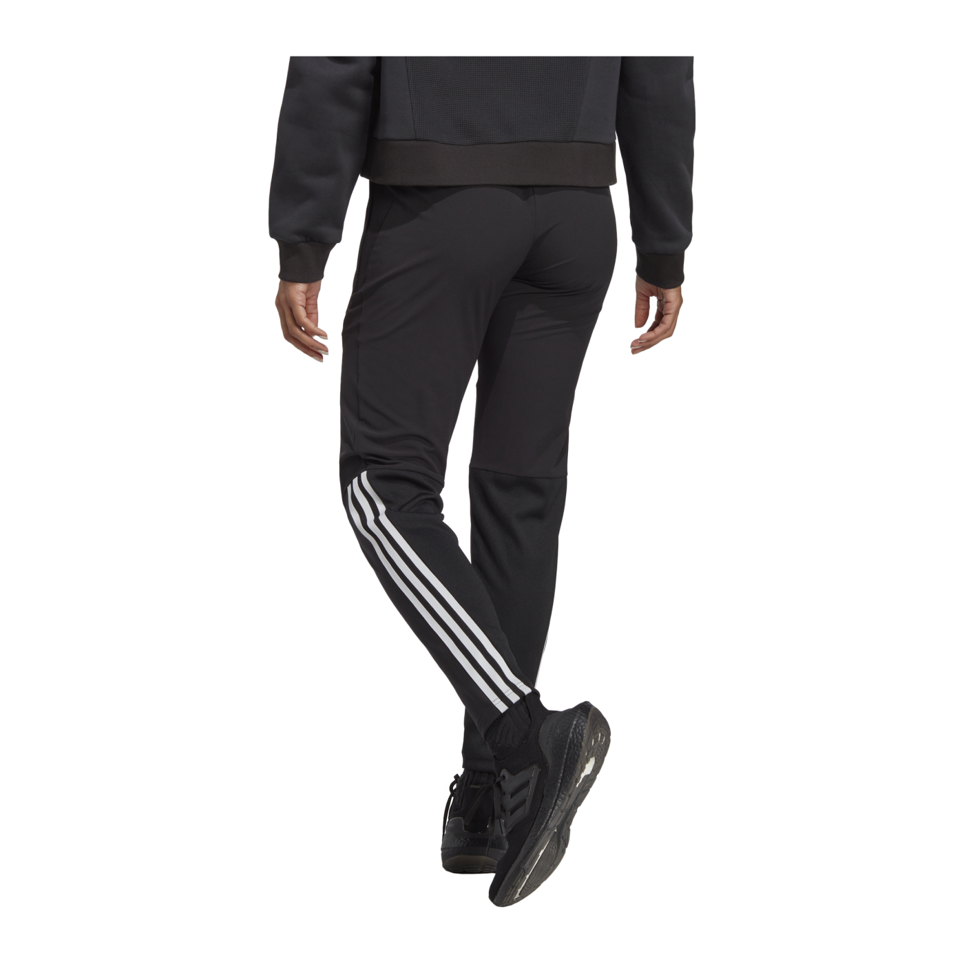 adidas Tiro 23 Competition Präsentationshose Damen Schwarz