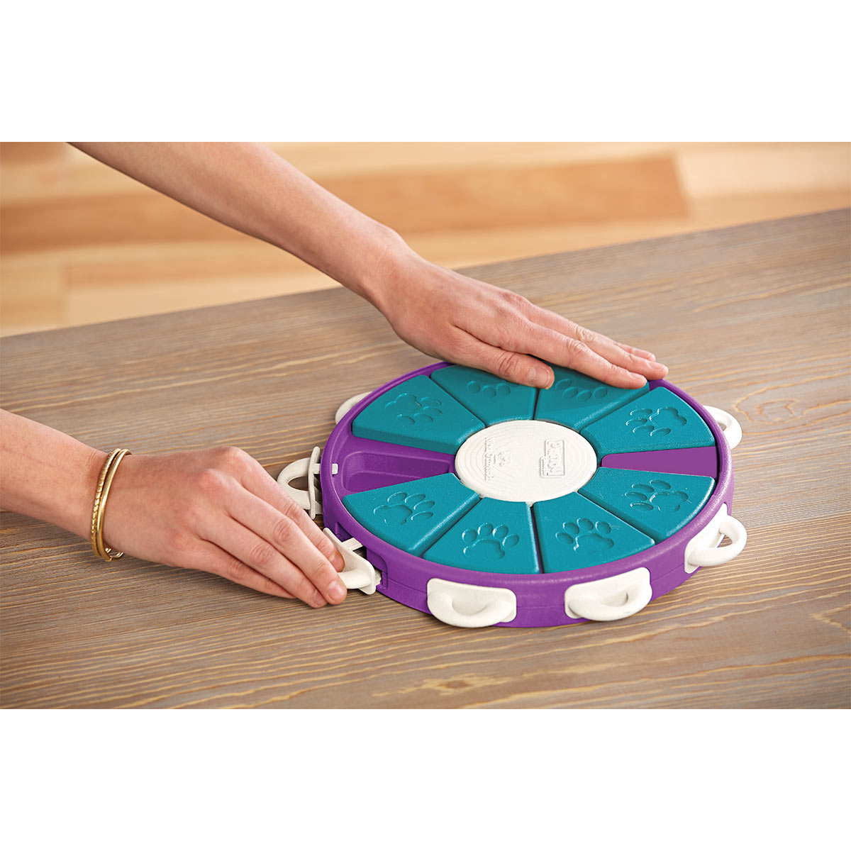 Dog Twister Intelligenzspielzeug günstig kaufen bei ZooRoyal