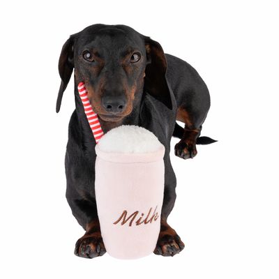 Hundespielzeug Squeaky Drink