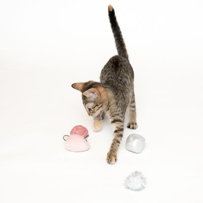 Katzenspielzeugset 4-teilig