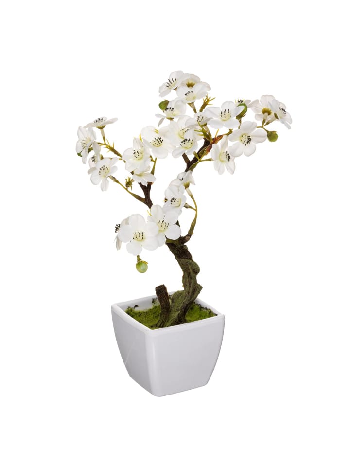 Atmosphera Créateur d'intérieur Künstliche Orchidee in weiß günstig kaufen onesize