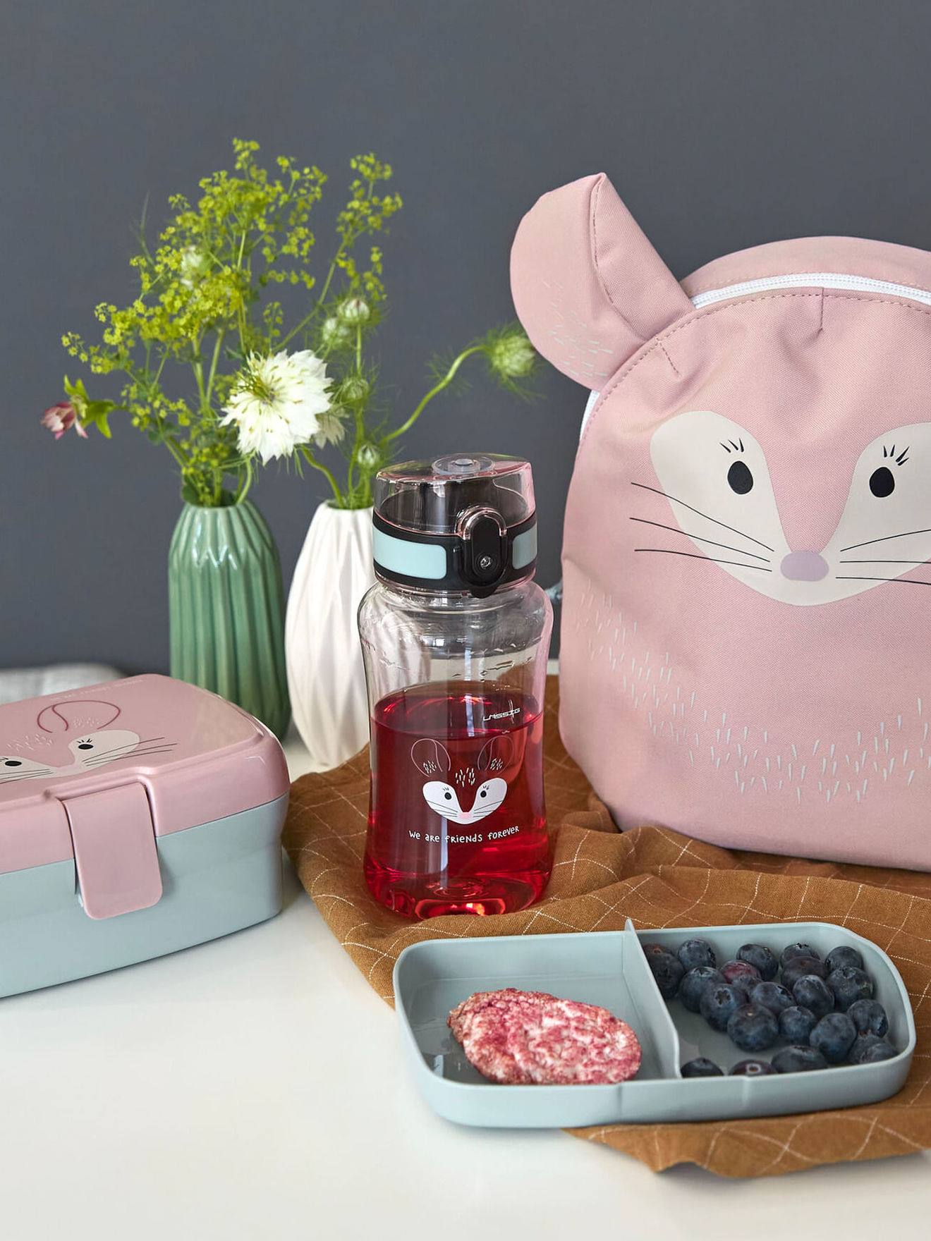 Ensemble boîte à goûter + gourde LÄSSIG About Friends gris foncé/raton laveur