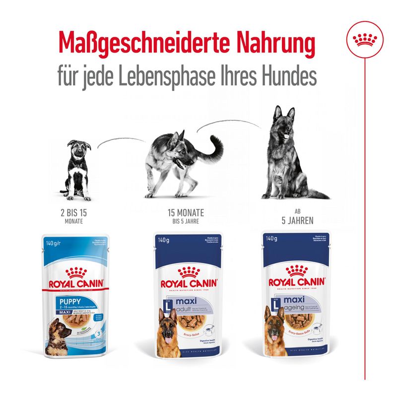 Royal Canin Maxi Ageing in Soße