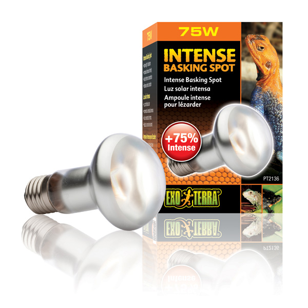 Exo Terra Intense Basking Spot günstig kaufen