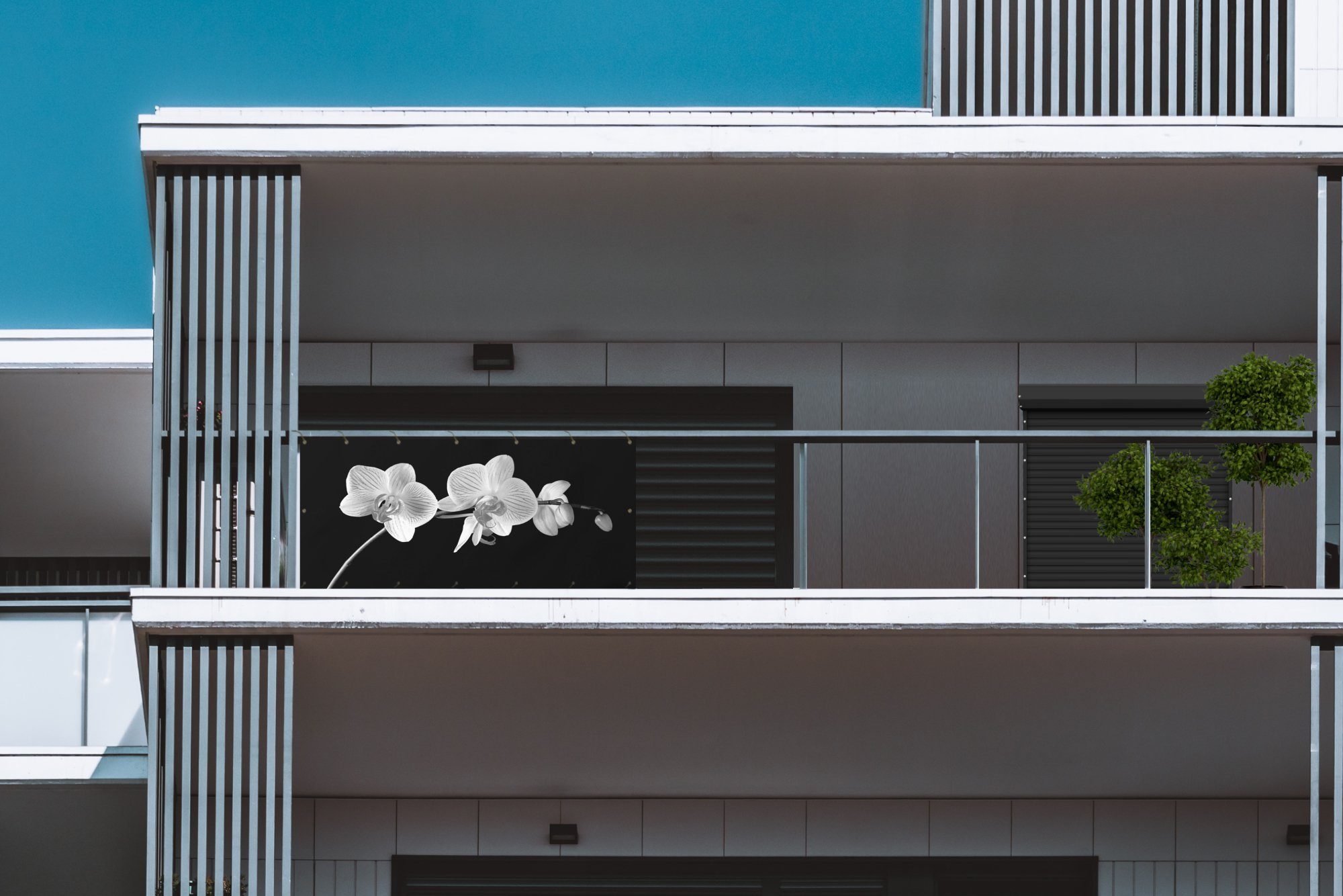 MuchoWow Balkonsichtschutz Orchidee - Blumen - Schwarz - Rosa - Knöpfe (1-St) Balkonbanner, Sichtschutz für den Balkon, Robustes und wetterfest