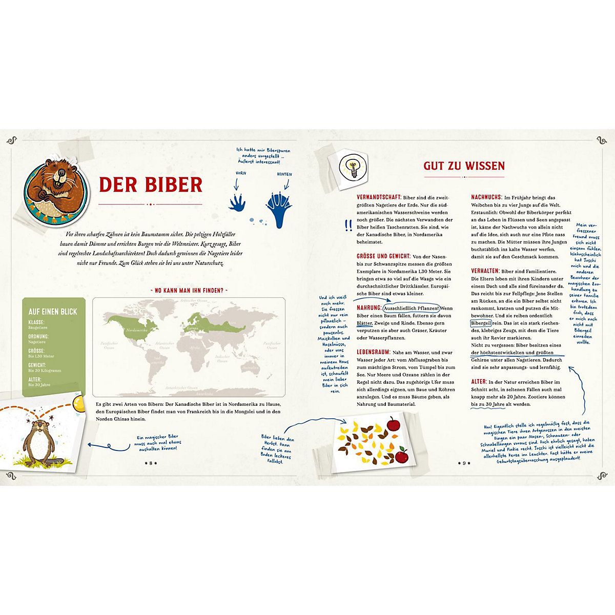 Die Schule der magischen Tiere: Mister Morrisons gesammeltes Tierwissen