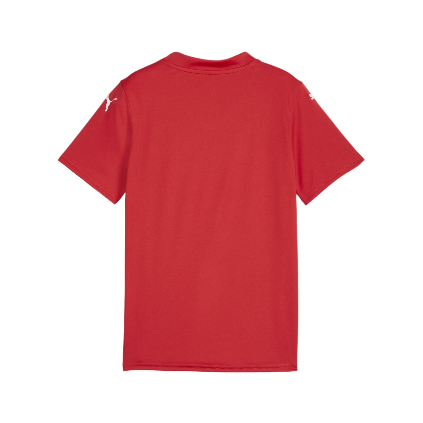 PUMA teamGLORY Trikot Kids Rot Weiss Rot F01