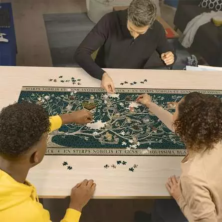 Puzzle 2000 Teile - Familienstammbaum