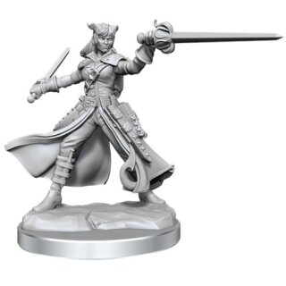 D&D Frameworks: Tiefling Rogue Female