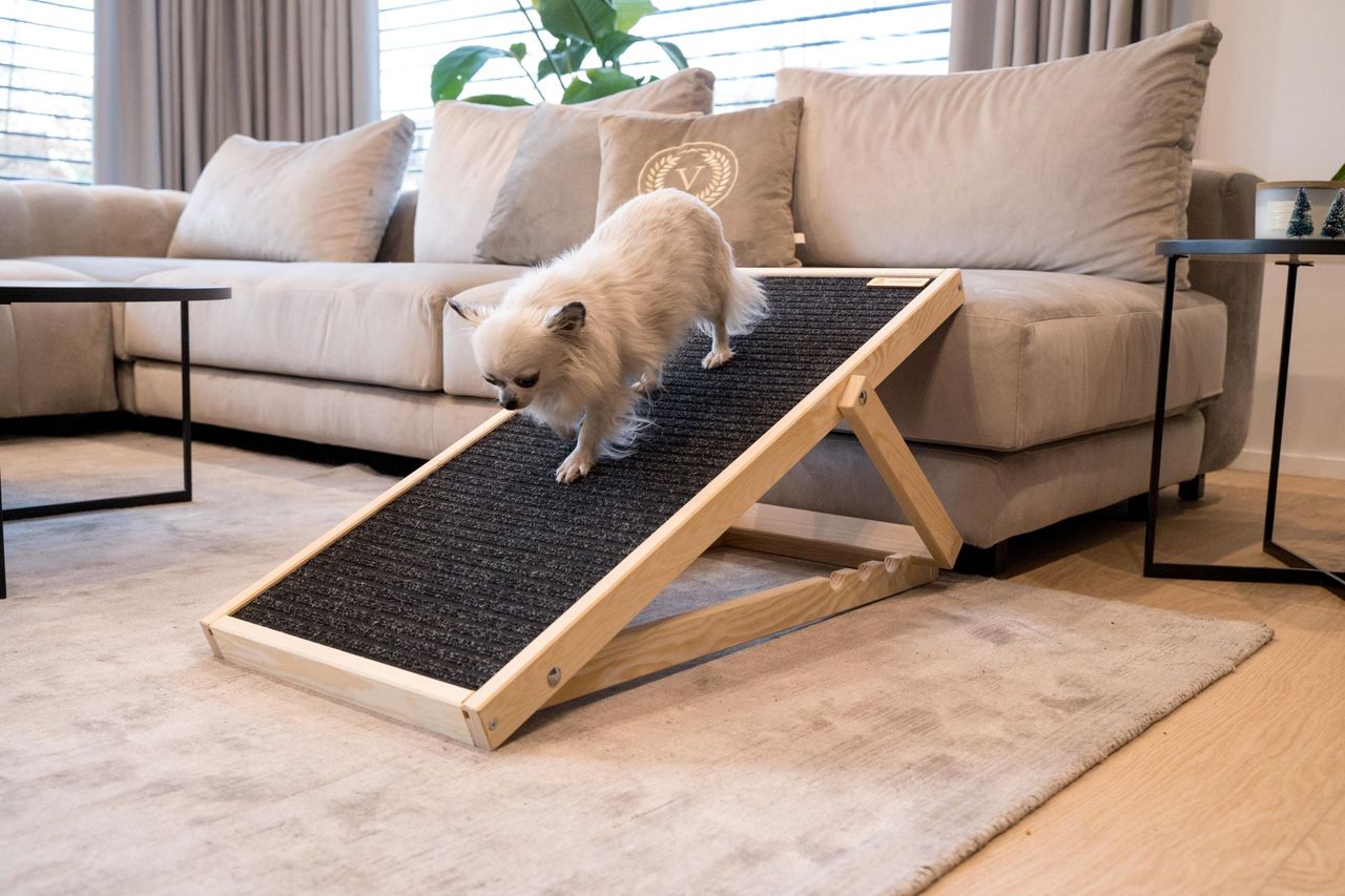 Animood Hunderampe Skipper naturbelassen Hundetreppe