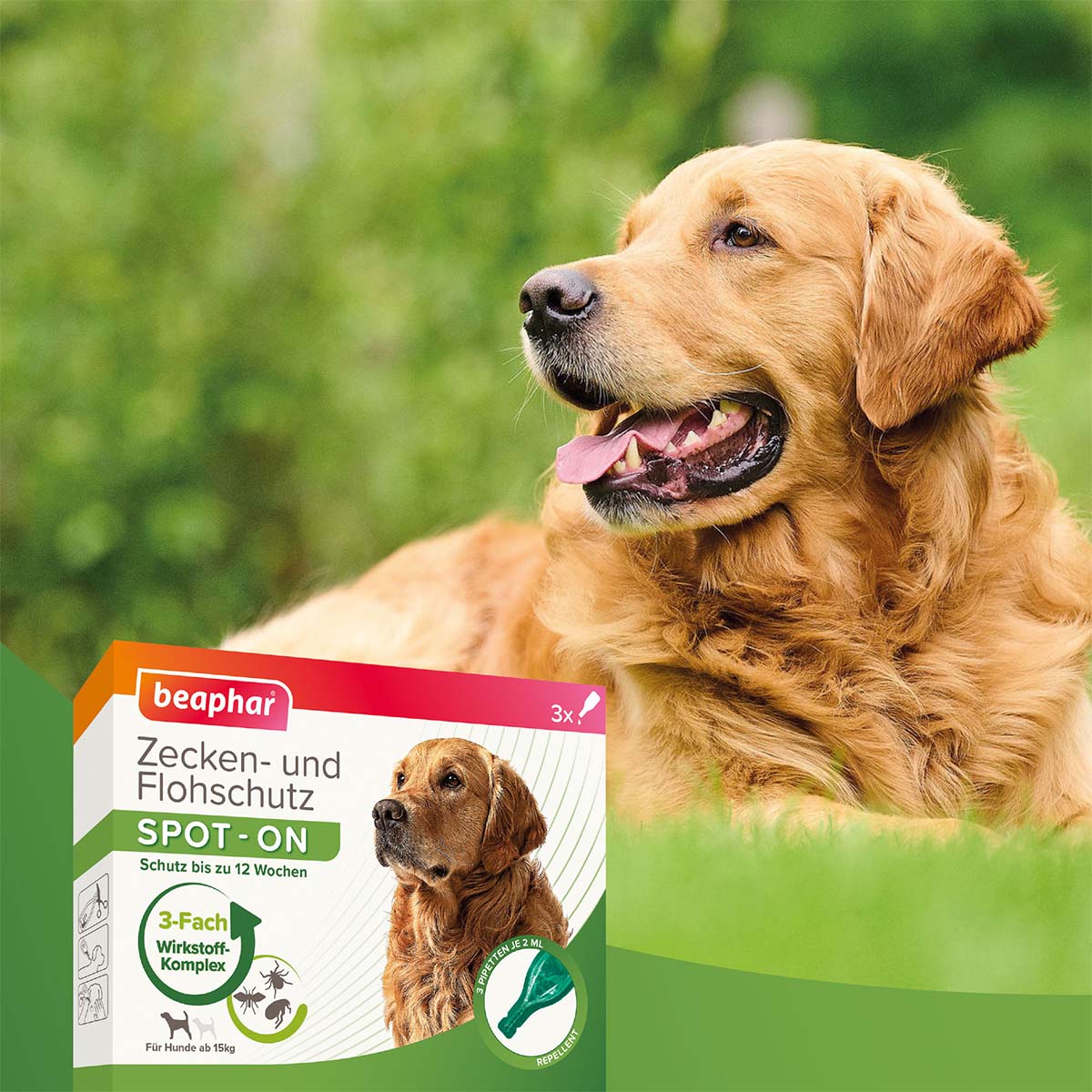 beaphar Spot On Tropfen für große Hunde + Zeckenstift gratis