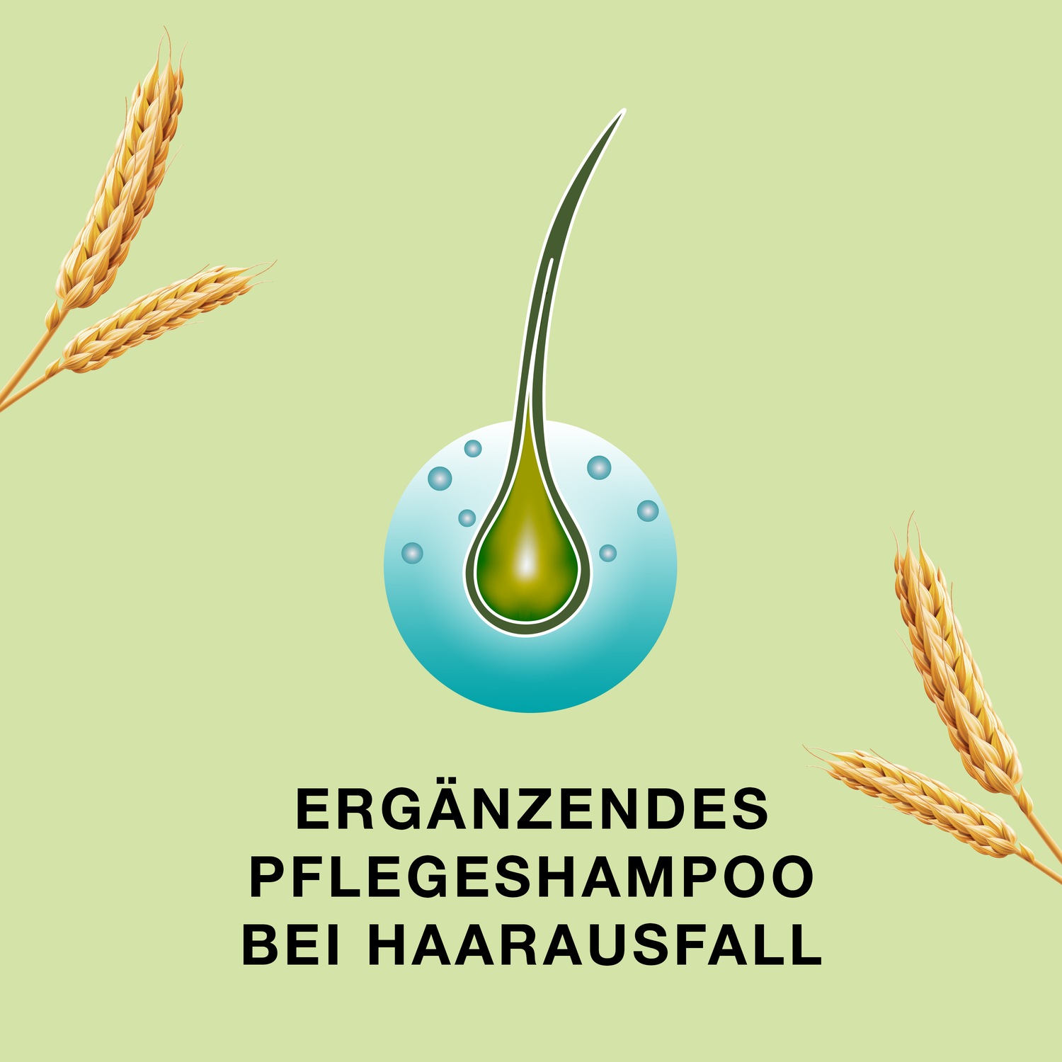 Shampoo f.kraftlos.dünner werdendes Haar