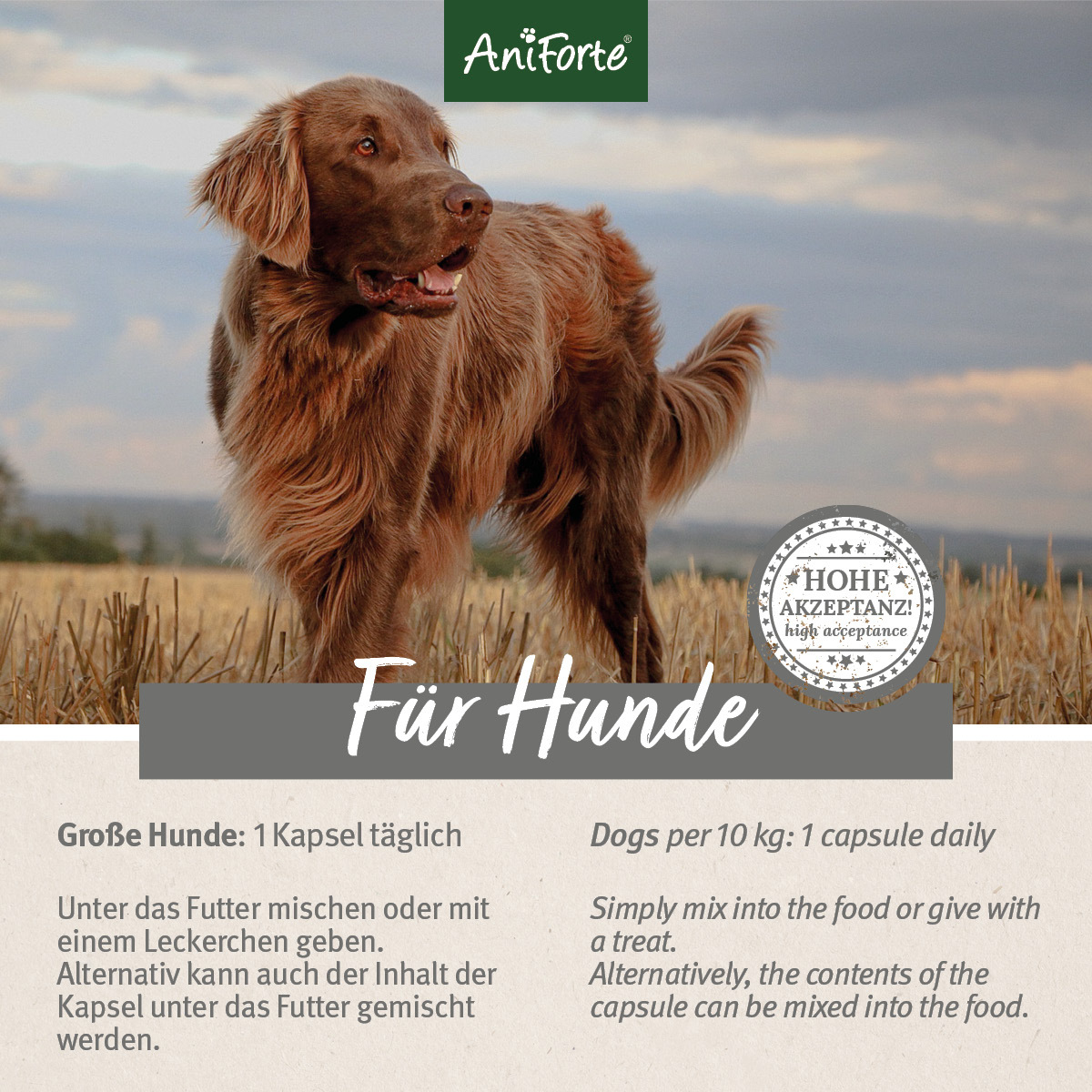 Aniforte Ergänzungsfutter & Aufzucht Aniforte Zecken Schild (10 bis 35kg) für Hunde 60 Kapseln