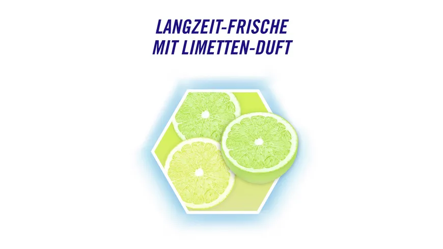 Domestos Power 5 WC-Stein Limette 275 g