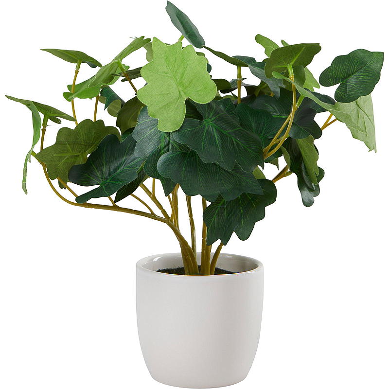 Home Grønnplante 25 cm i porselenspotte
