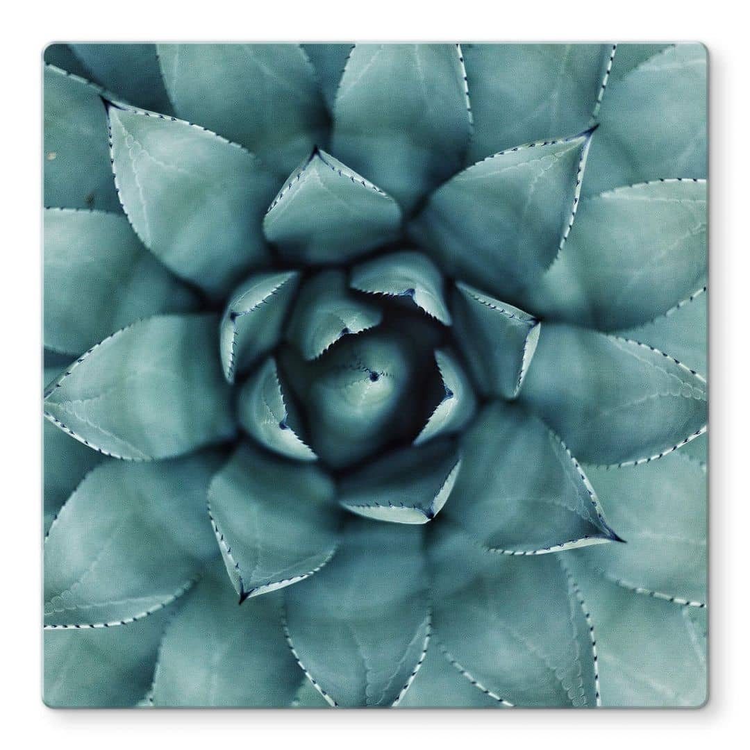 K&L Wall Art Arbeitsplatte Glas Tischplatte Sukkulente Beistelltisch Kaktus Pflanze Floral Glastisch