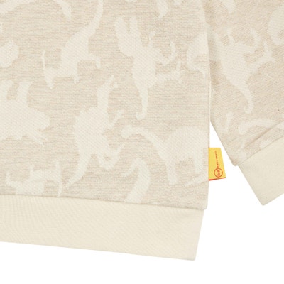 Sweatshirt, beige für Jungs